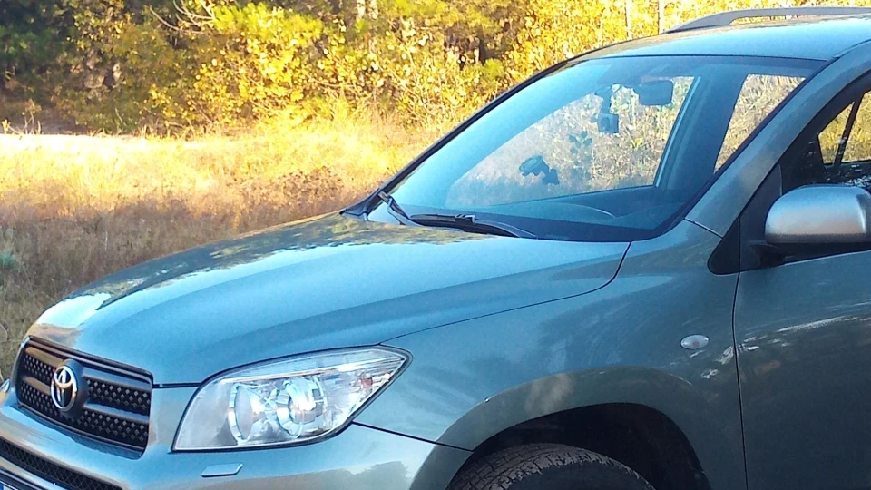Toyota RAV4 Rafik 2