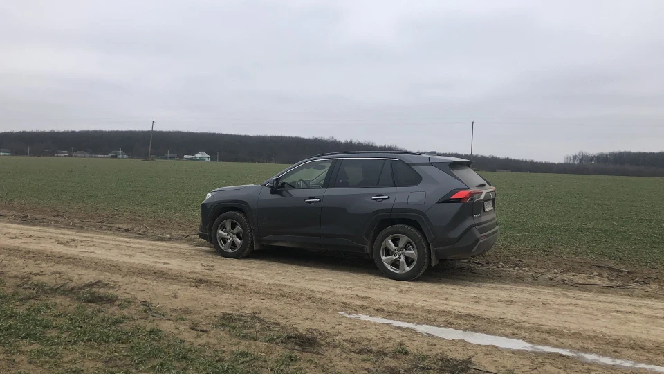 Toyota RAV4 Темно сірий 2