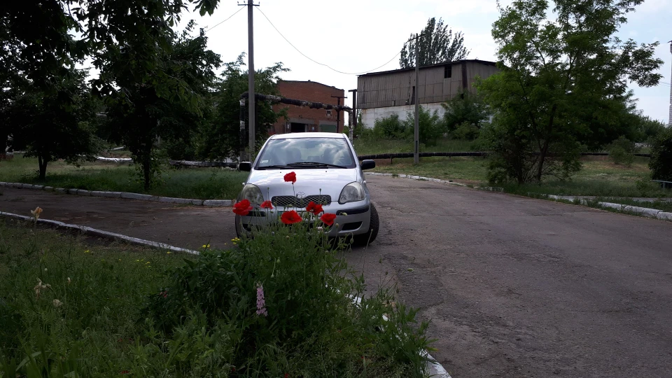 Toyota Yaris Сніжка