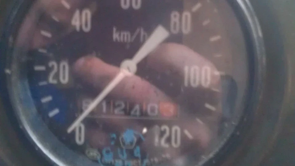 УАЗ 3303 Зелений 3