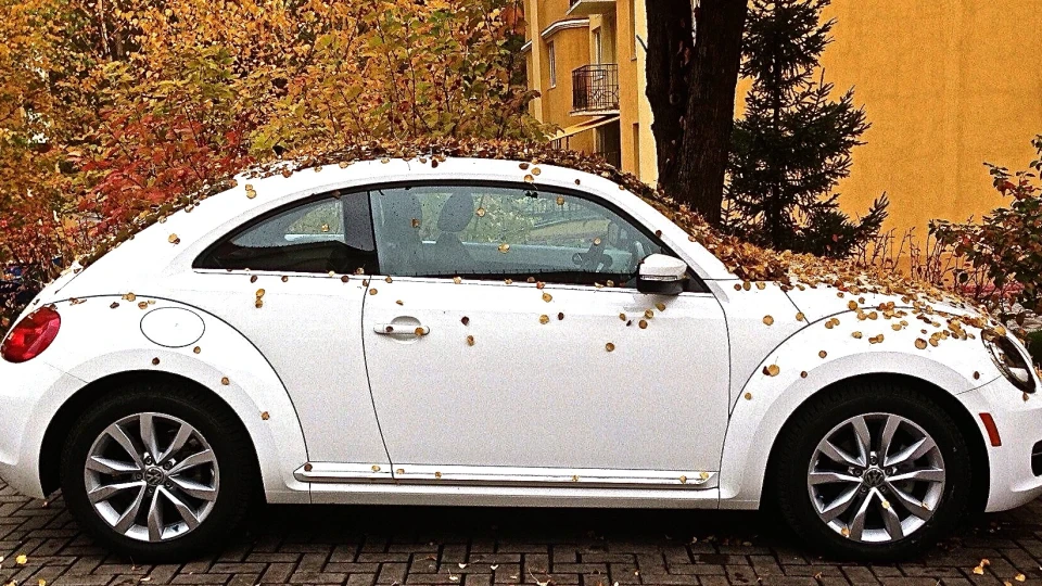 Volkswagen Beetle 2.0 турбо-дизель