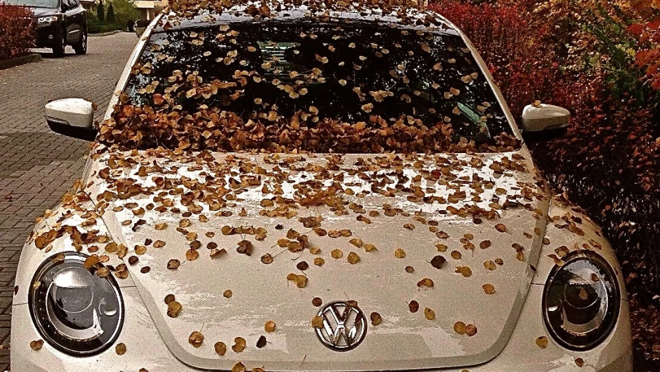 Volkswagen Beetle 2.0 турбо-дизель 3