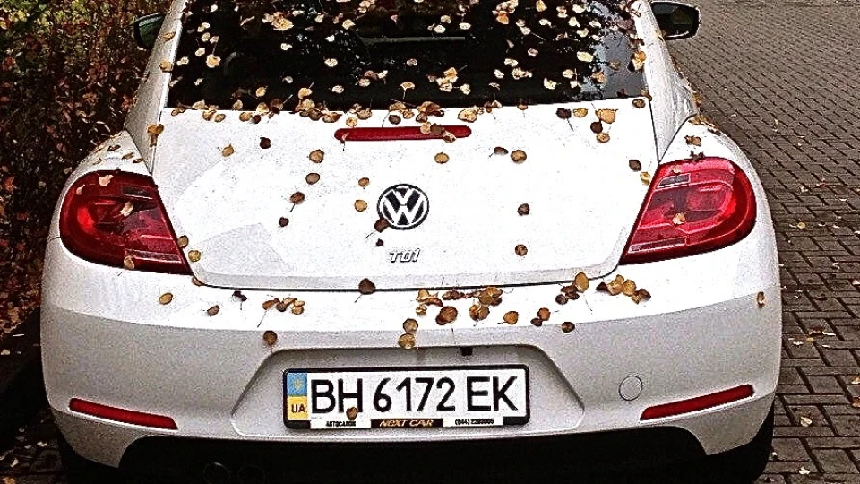 Volkswagen Beetle 2.0 турбо-дизель 4