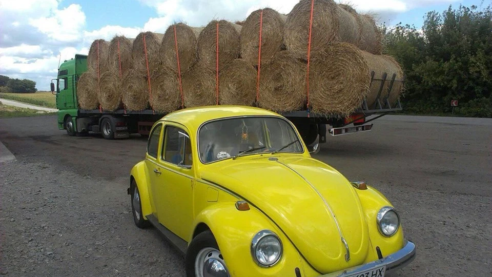 Volkswagen Beetle Маестро