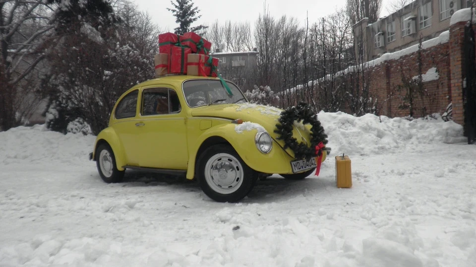 Volkswagen Beetle Маестро 2