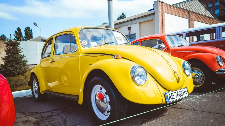 Volkswagen Beetle Маестро 4