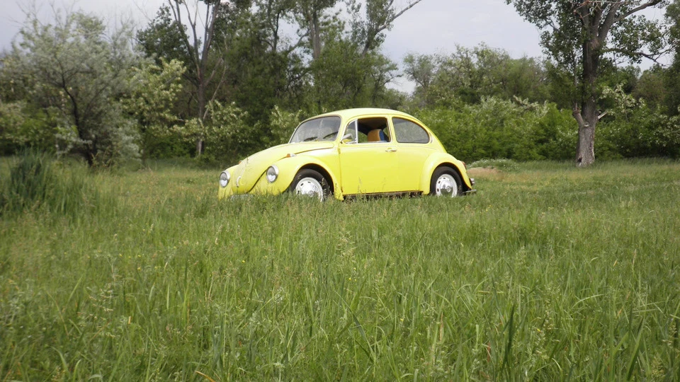 Volkswagen Beetle Маестро 5