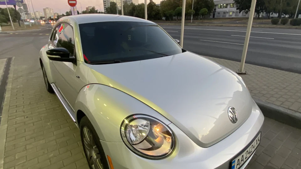 Volkswagen Beetle Owl