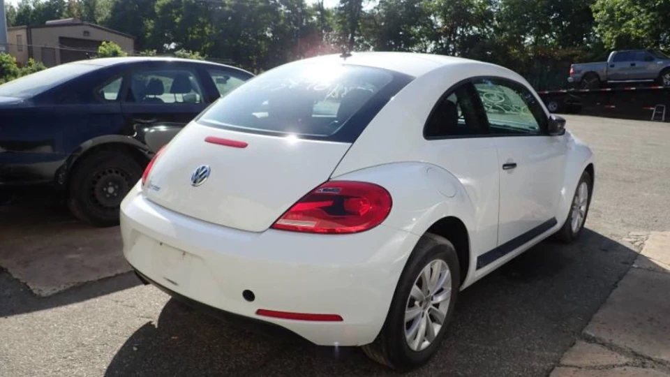 Volkswagen Beetle ЖУК 3