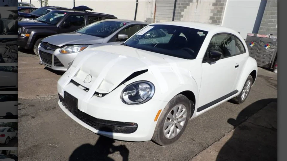 Volkswagen Beetle ЖУК 4