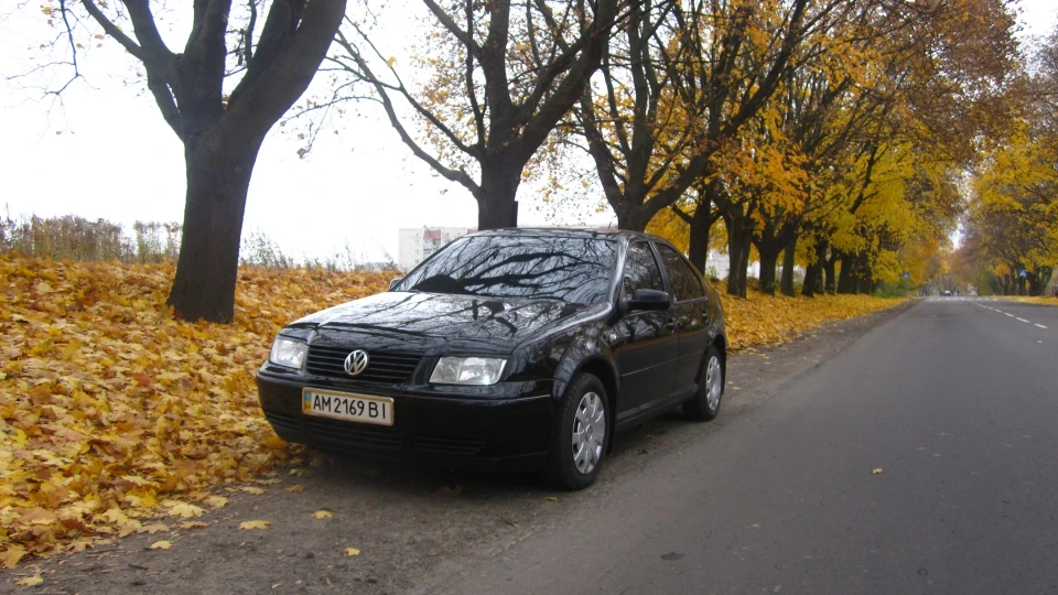 Volkswagen Bora 1.6 8клапка 2