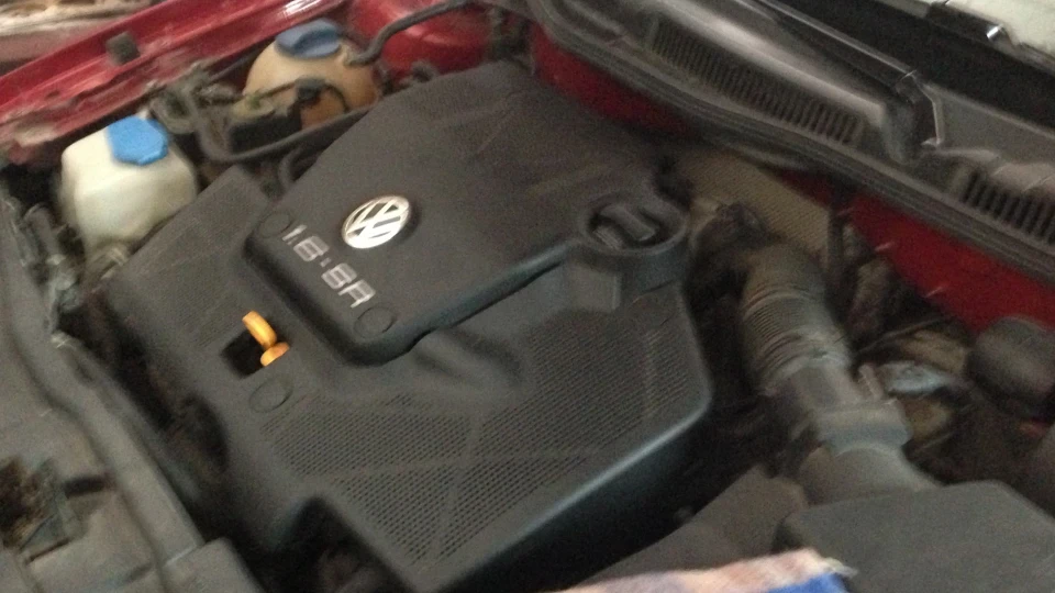Volkswagen Bora Перчик) 5