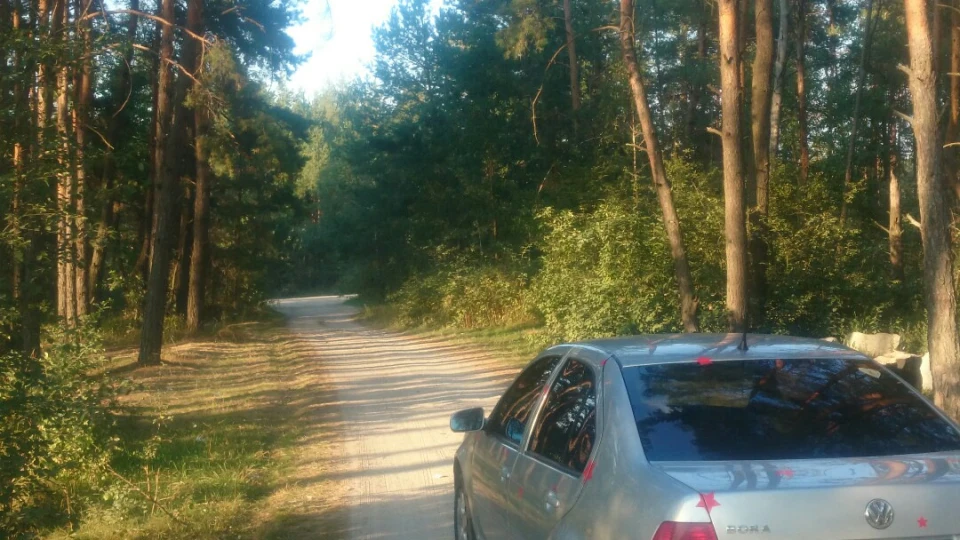 Volkswagen Bora Сивий дідок 2