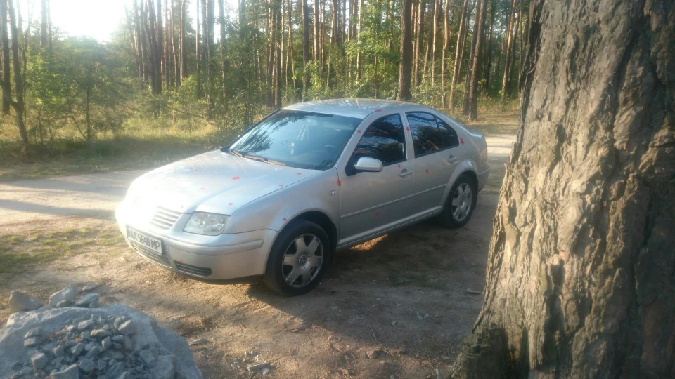 Volkswagen Bora Сивий дідок 3