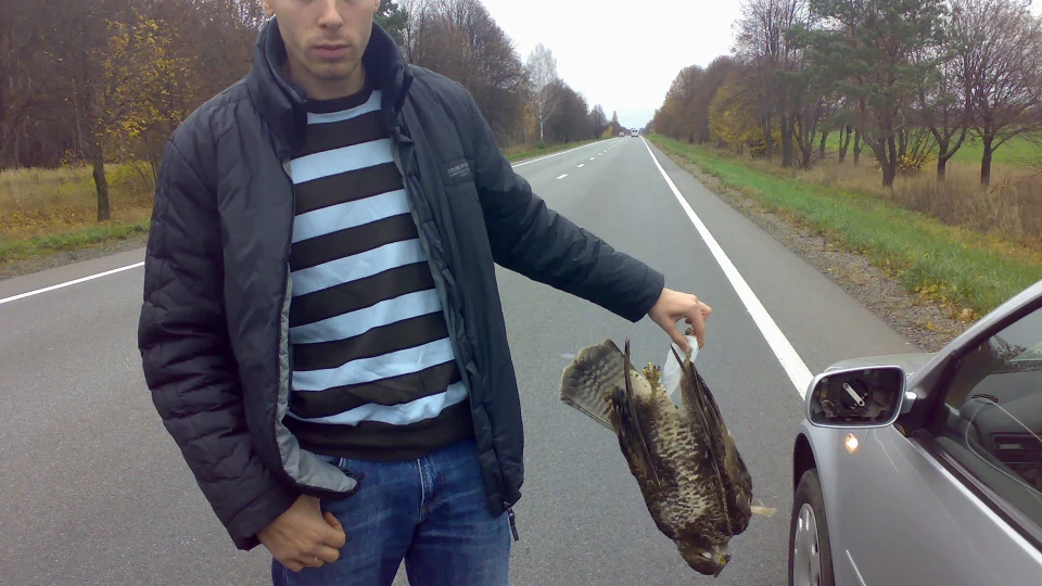 Volkswagen Bora Шустрик! ... Був ...