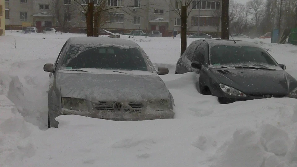Volkswagen Bora Шустрик! ... Був ... 5