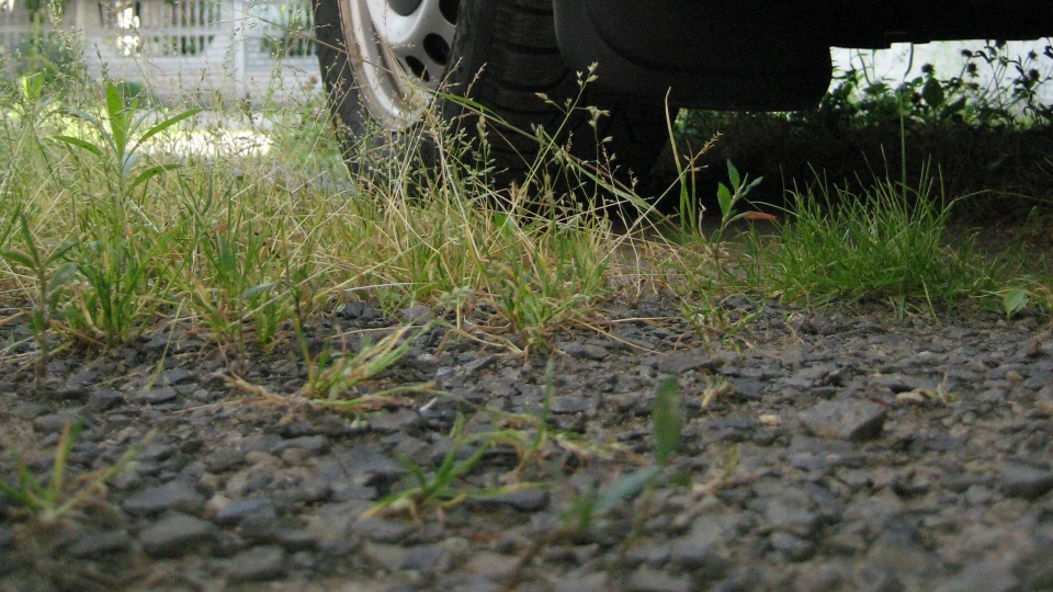Volkswagen Caddy білий аjax 2