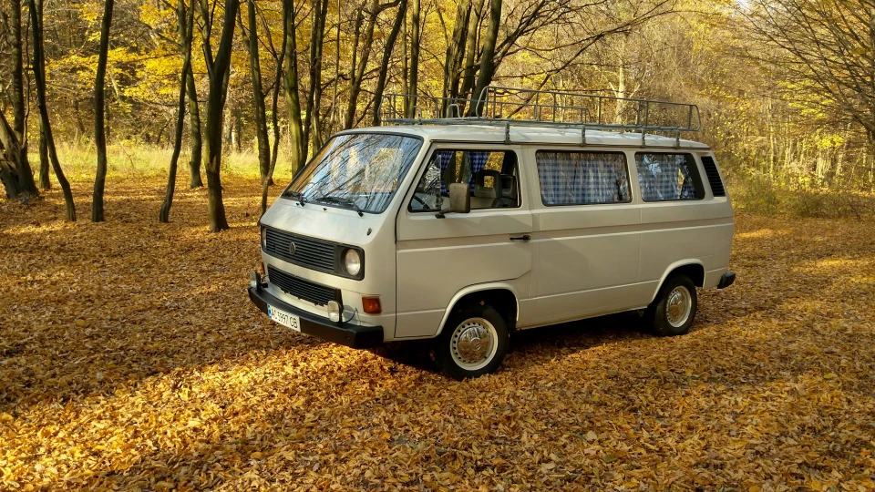 Volkswagen Caravelle 2