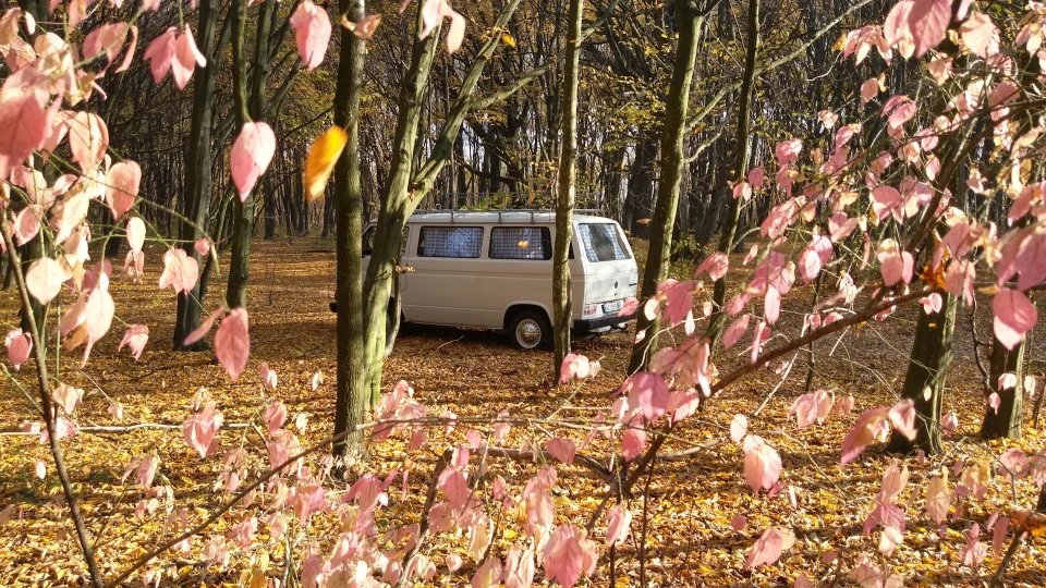 Volkswagen Caravelle 4