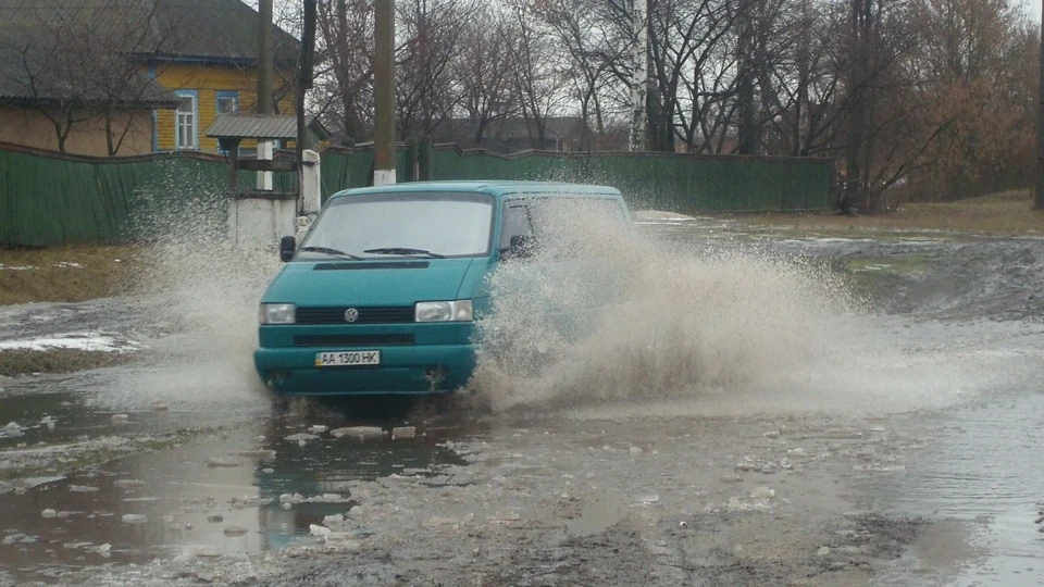 Volkswagen Caravelle Зелений дракон 3