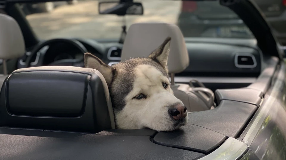 Volkswagen Eos VW Eos 2.0 TDI 2