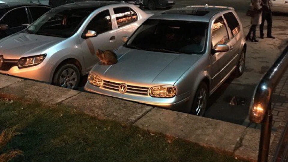 Volkswagen Golf GTI DAILY 5