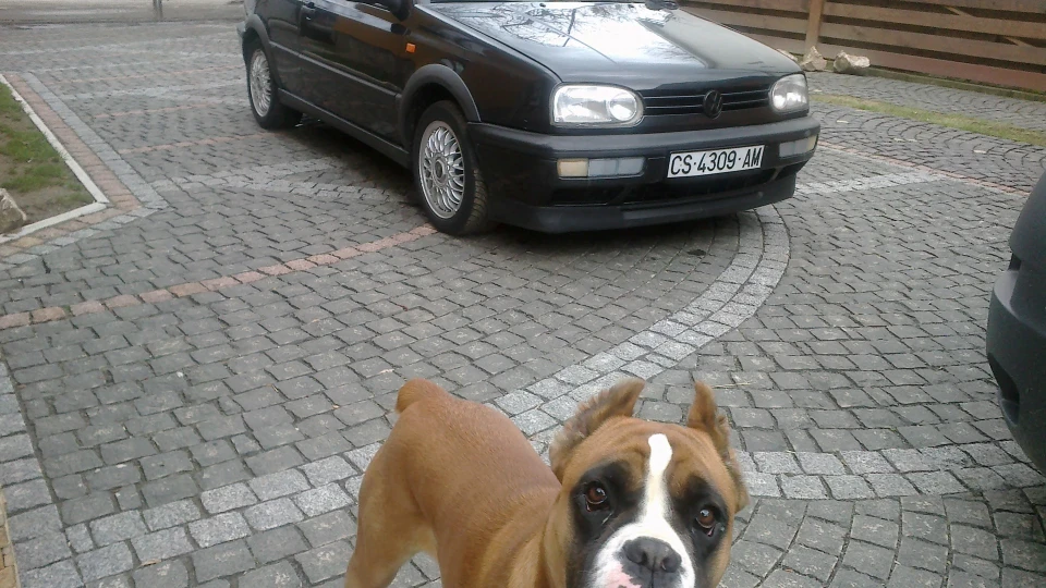 Volkswagen Golf GTI шварц 2