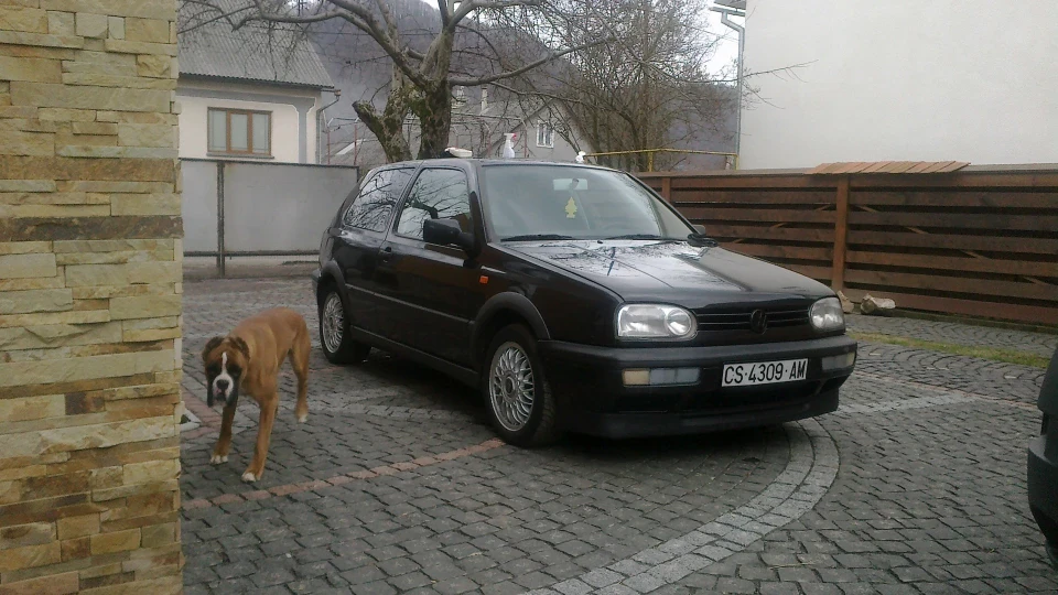 Volkswagen Golf GTI шварц 3