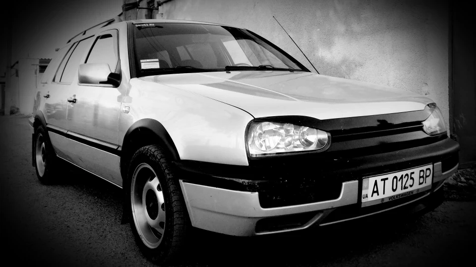 Volkswagen Golf Variant ^ Pit bull ^ 4