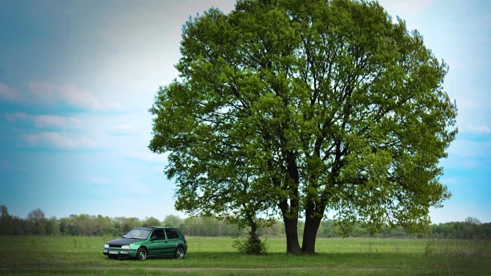 Volkswagen Golf 3