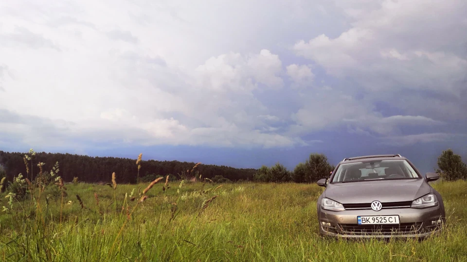 Volkswagen Golf Gray-Brown Bluemotion