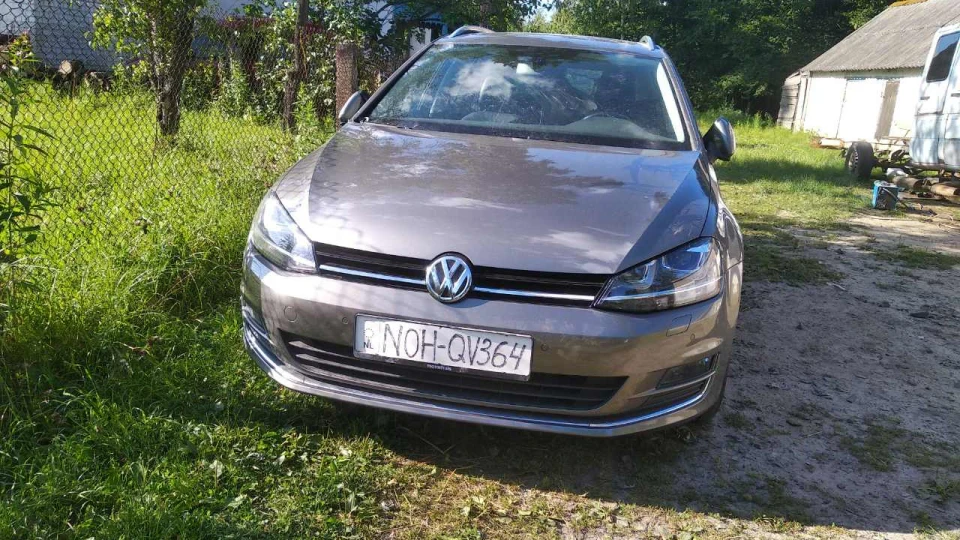 Volkswagen Golf Gray-Brown Bluemotion 3