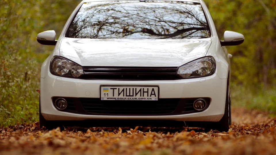 Volkswagen Golf Самець 2