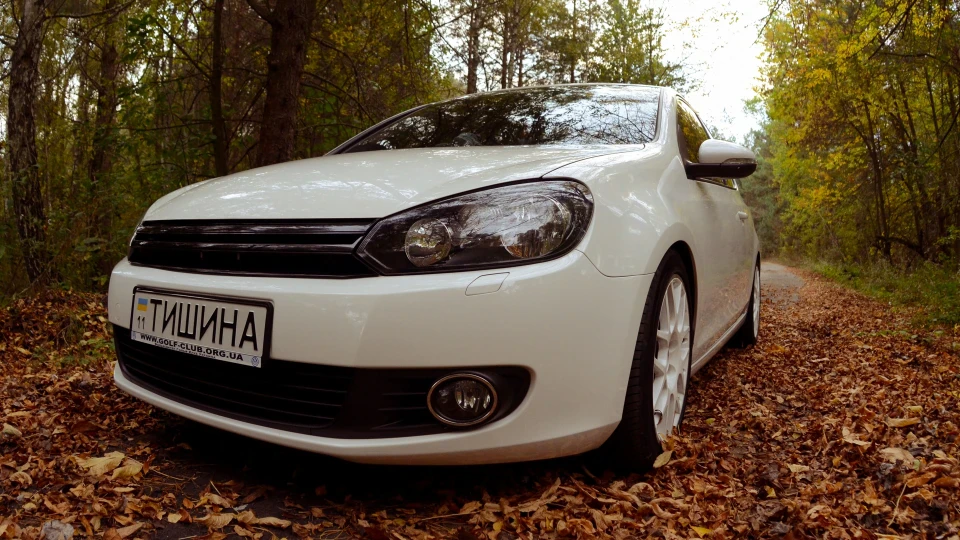 Volkswagen Golf Самець 3
