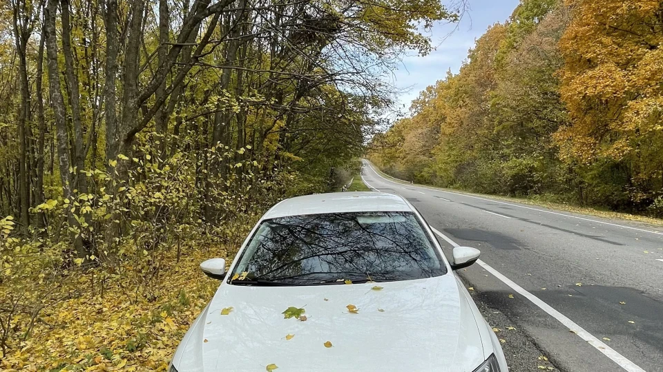 Volkswagen Jetta [1,6TDI DSG7] RunErrands 3