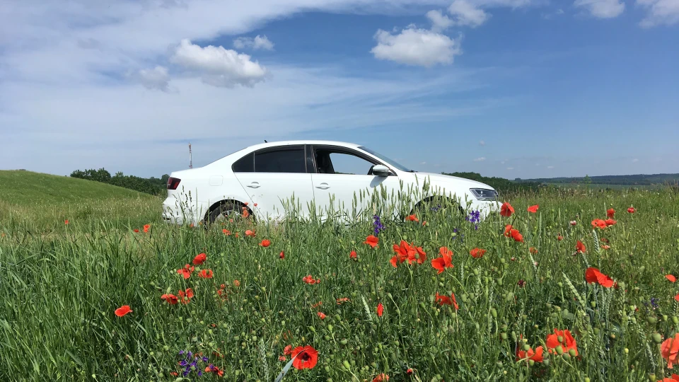 Volkswagen Jetta [1,6TDI DSG7] RunErrands 5