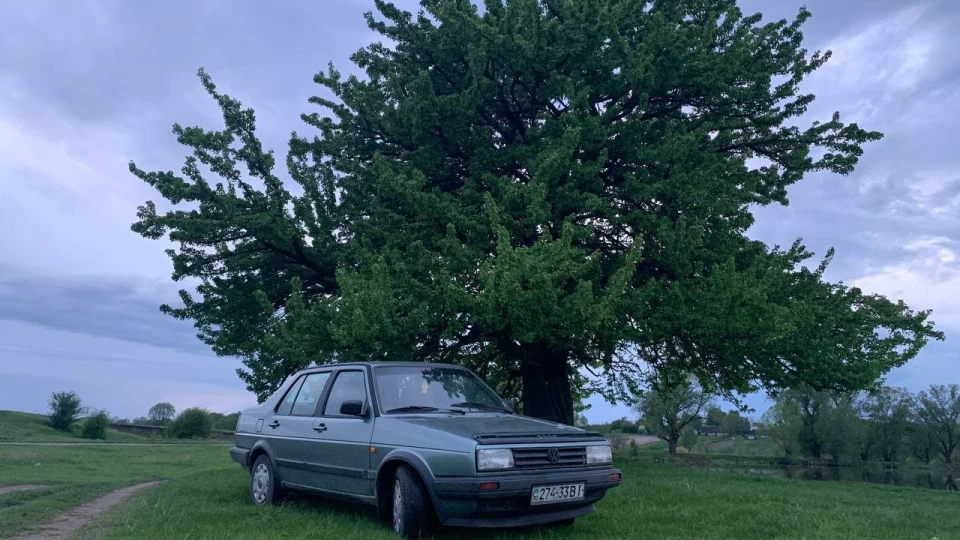 Volkswagen Jetta Julia 3