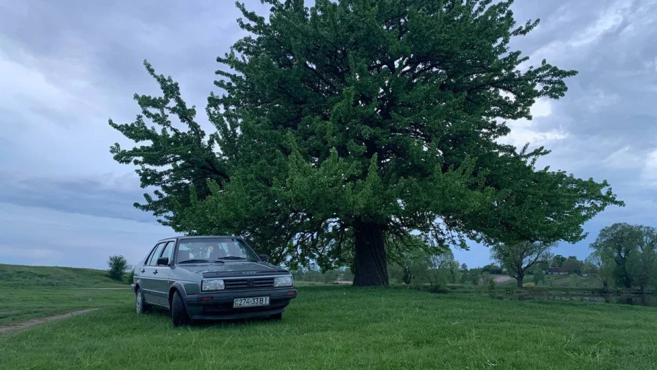 Volkswagen Jetta Julia 5