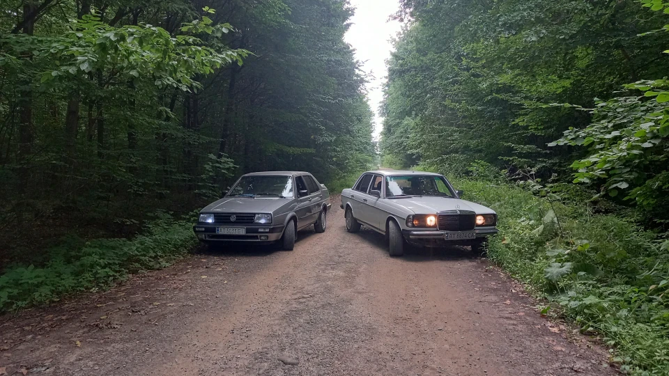 Volkswagen Jetta Сіренький ТурбоДизель 3
