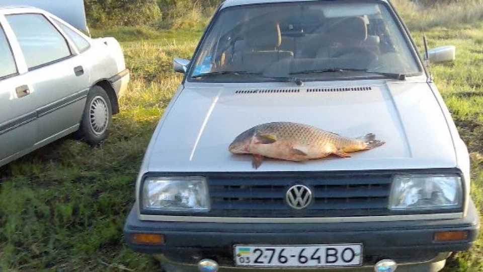 Volkswagen Jetta золотиста подружка