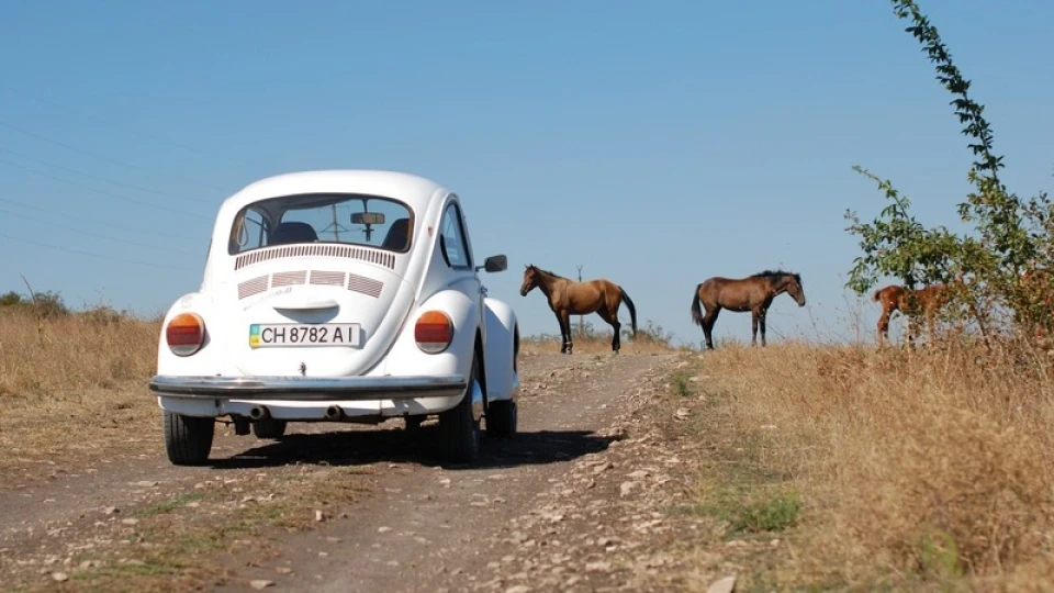 Volkswagen Kafer 1303S 4