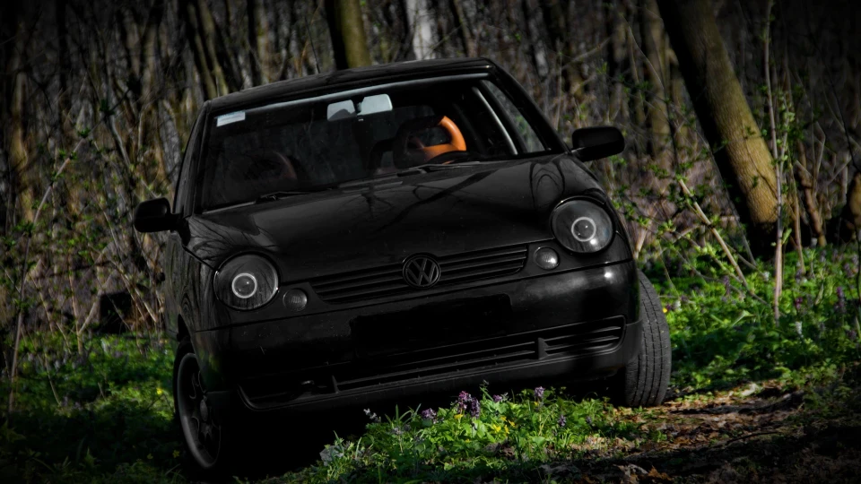 Volkswagen Lupo 3