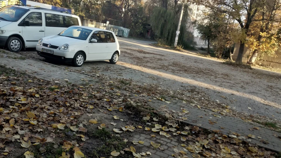 Volkswagen Lupo Вовчик 3