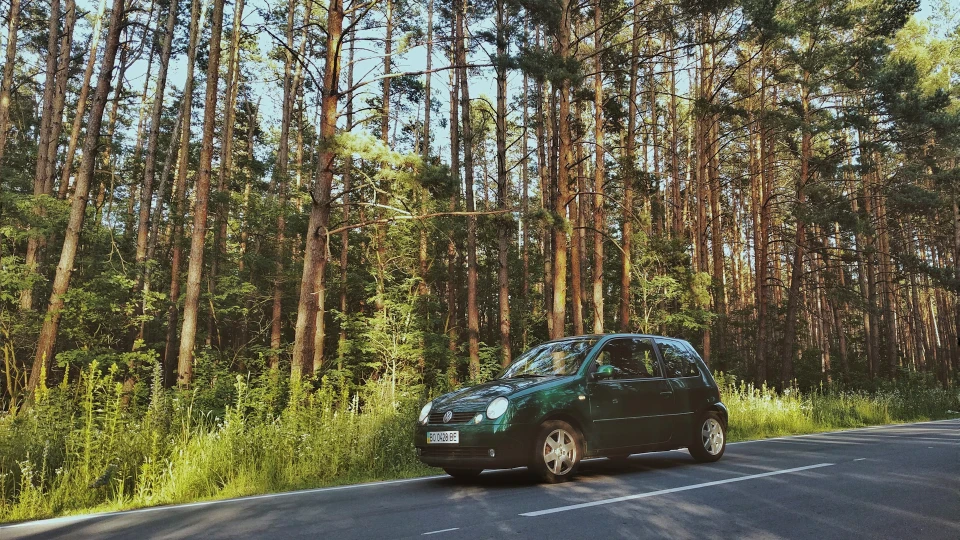 Volkswagen Lupo Zelenwagen 4