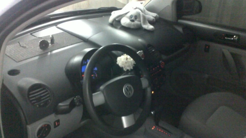 Volkswagen New Beetle 3