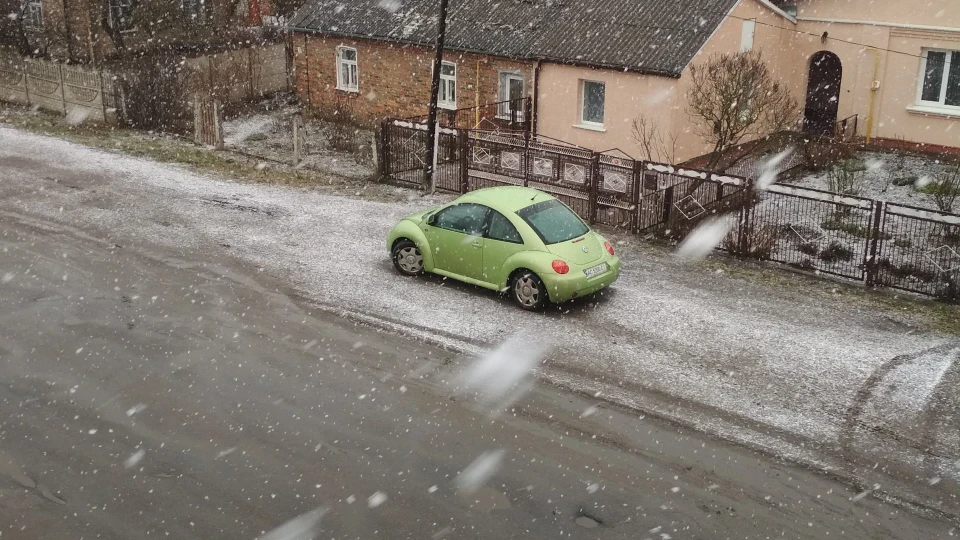 Volkswagen New Beetle 2.0 green_sport