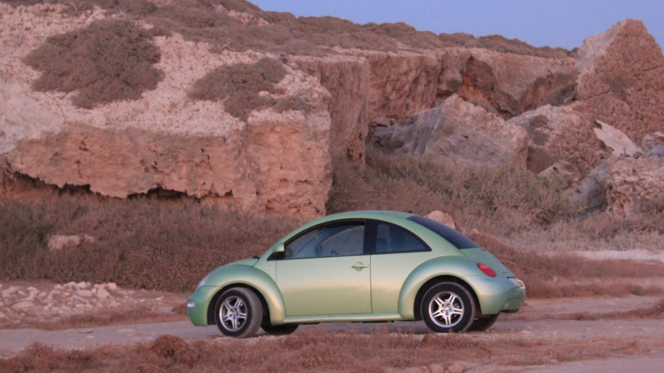 Volkswagen New Beetle Fistashka 2