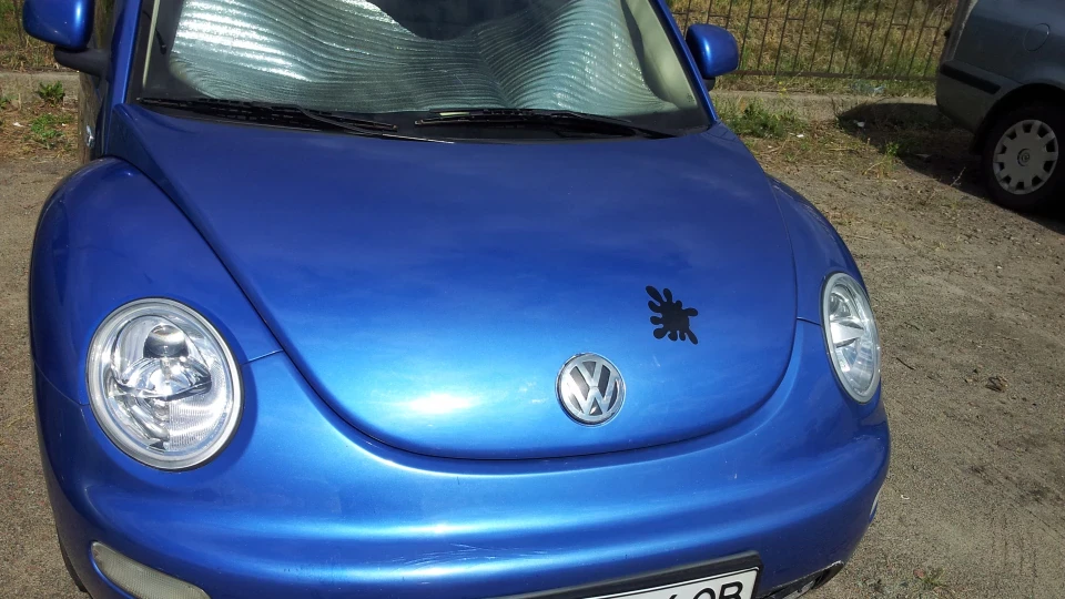 Volkswagen New Beetle синчик 3