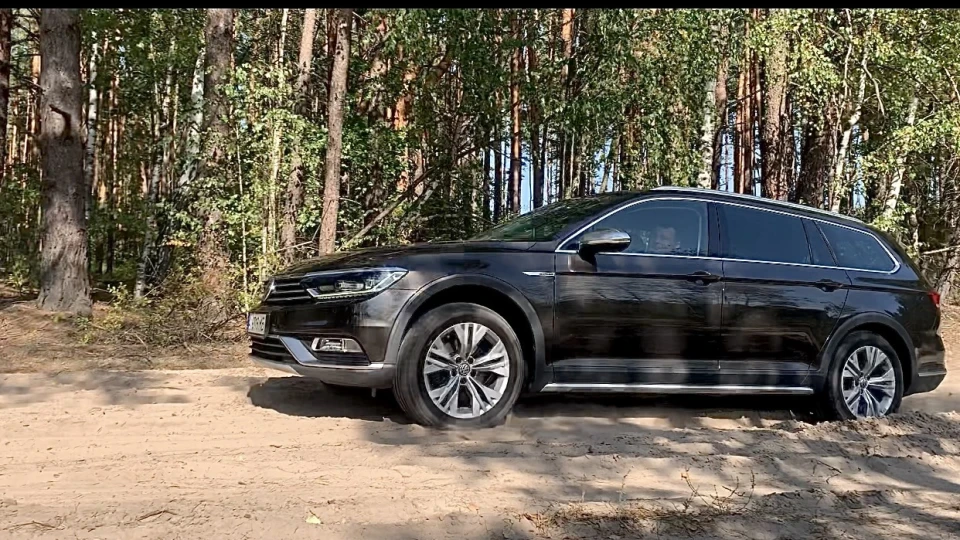 Volkswagen Passat Alltrack Касатик 2