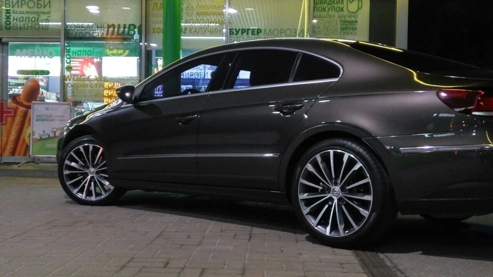 Volkswagen Passat CC Муха